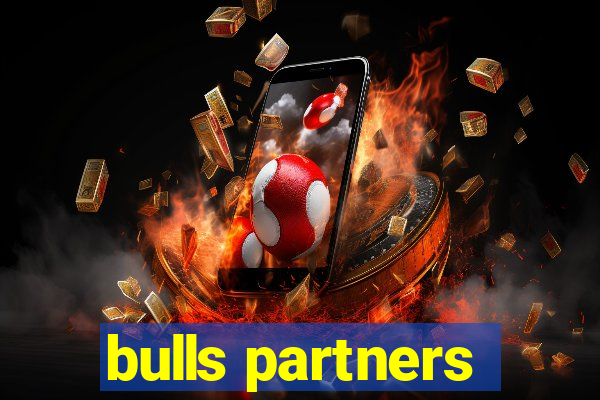 bulls partners